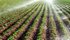 ممنوعیت استفاده ازآب_های نامتعارف برای آبیاری  محصولات کشاورزی در ارومیه