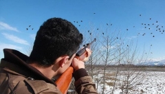 مجوزی برای شکار در آذربایجان غربی صادر نشده است