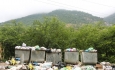 تولید زباله در مهاباد سه برابر میانگین جهانی است