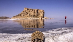 تونل انتقال آب  به دریاچه ارومیه  تا پایان سال  به بهره برداری  می‌رسد