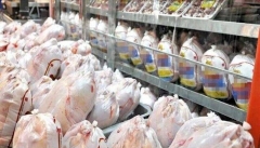 چرا مرغ‌های آلوده بلاروسی جنجالی شد