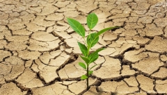 ۵۶درصد آذربایجان غربی دچار خشکسالی  بسیار شدید است