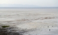 دریاچه ارومیه  در شرایط  برگشت‌ناپذیر  قرار دارد