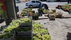 ضرورت تسریع در ساماندهی  مراکز خرید میوه در آذربایجان غربی