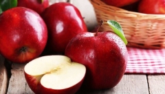 پیش بینی تولید بیش از ۱.۴ میلیون تن سیب در آذربایجان‌غربی