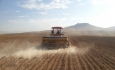 بیش از ۵۰۰ هزار هکتار زمین کشاورزی آذربایجان‌غربی به کشت پاییزه اختصاص یافت
