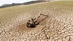 چرا زنگ خطر بحران خشکسالی در کشور شنیده نمی‌شود