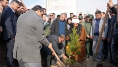 کاشت ۳۰ میلیون  اصله نهال  در آذربایجان غربی   تمهید شده است