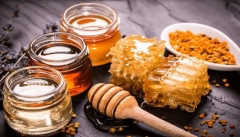 آذربایجان‌غربی رتبه اول تولید عسل کشور را دارد